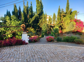 Vila Kuka